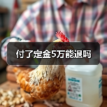 付了定金5万能退吗(图3) 付了定金5万能退吗(图3)
