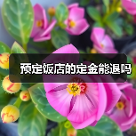 预定饭店的定金能退吗(图1) 预定饭店的定金能退吗(图1)