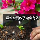 没签合同收了定金有效吗(图1) 没签合同收了定金有效吗(图1)