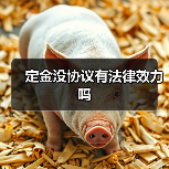定金没协议有法律效力吗(图3) 定金没协议有法律效力吗(图3)