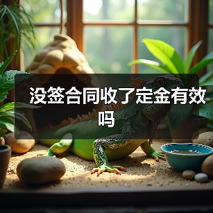 没签合同收了定金有效吗(图2) 没签合同收了定金有效吗(图2)