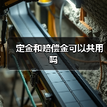定金和赔偿金可以共用吗(图2) 定金和赔偿金可以共用吗(图2)