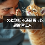 欠款到期不还是否可以起诉保证人(图1) 欠款到期不还是否可以起诉保证人(图1)