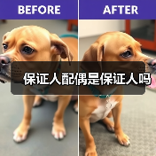 保证人配偶是保证人吗(图2) 保证人配偶是保证人吗(图2)
