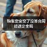 购车定金交了没签合同能退定金吗（图4）