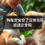 购车定金交了没签合同能退定金吗（图1）