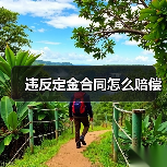 违反定金合同怎么赔偿(图3) 违反定金合同怎么赔偿(图3)