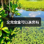 交完定金可以退房吗（图4）