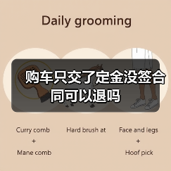 购车只交了定金没签合同可以退吗(图3) 购车只交了定金没签合同可以退吗(图3)