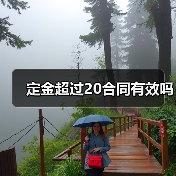 定金超过20合同有效吗(图4) 定金超过20合同有效吗(图4)