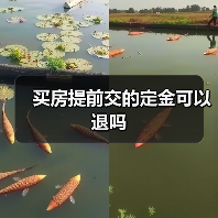 买房提前交的定金可以退吗(图3) 买房提前交的定金可以退吗(图3)