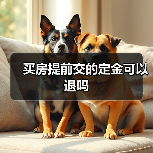 买房提前交的定金可以退吗(图4) 买房提前交的定金可以退吗(图4)