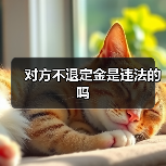 对方不退定金是违法的吗(图3) 对方不退定金是违法的吗(图3)