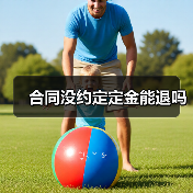 合同没约定定金能退吗（图3）
