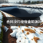 合同没约定定金能退吗（图1）
