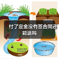 付了定金没有签合同还能退吗（图4）