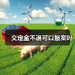交定金不退可以报案吗（图3）