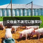 交定金不退可以报案吗（图2）