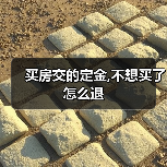 买房交的定金,不想买了怎么退(图4) 买房交的定金,不想买了怎么退(图4)