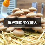 执行期追加保证人(图4) 执行期追加保证人(图4)