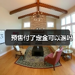预售付了定金可以退吗(图2) 预售付了定金可以退吗(图2)