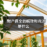 财产保全的解除和救济是什么(图2) 财产保全的解除和救济是什么(图2)