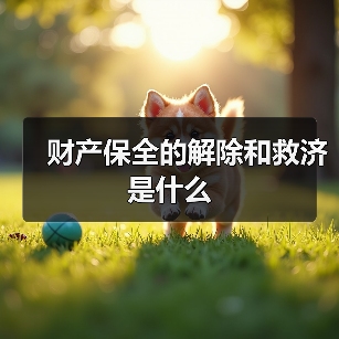 财产保全的解除和救济是什么(图1) 财产保全的解除和救济是什么(图1)