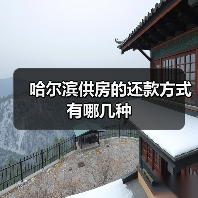 哈尔滨供房的还款方式有哪几种(图1) 哈尔滨供房的还款方式有哪几种(图1)