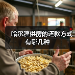 哈尔滨供房的还款方式有哪几种(图3) 哈尔滨供房的还款方式有哪几种(图3)