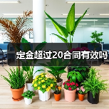 定金超过20合同有效吗（图4）