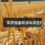 买房定金能退吗没签约(图3) 买房定金能退吗没签约(图3)