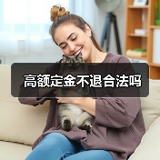 高额定金不退合法吗(图3) 高额定金不退合法吗(图3)