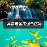 高额定金不退合法吗(图1) 高额定金不退合法吗(图1)