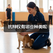 抗辩权有哪些种类呢（图1）