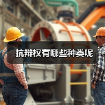 抗辩权有哪些种类呢（图4）