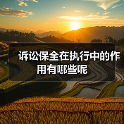 诉讼保全在执行中的作用有哪些呢（图3）