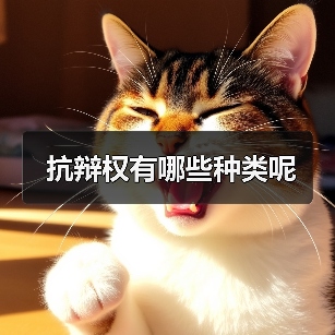 抗辩权有哪些种类呢（图2）