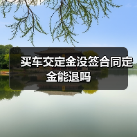 买车交定金没签合同定金能退吗(图4) 买车交定金没签合同定金能退吗(图4)