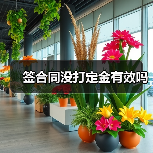 签合同没打定金有效吗（图4）