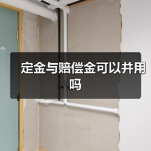 定金与赔偿金可以并用吗(图1) 定金与赔偿金可以并用吗(图1)