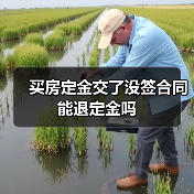 买房定金交了没签合同能退定金吗（图3）