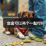 定金可以两个一起付吗（图4）