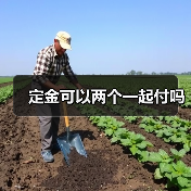 定金可以两个一起付吗(图4) 定金可以两个一起付吗(图4)