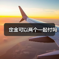 定金可以两个一起付吗（图3）
