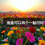 定金可以两个一起付吗（图2）