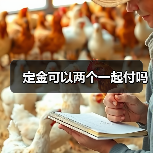定金可以两个一起付吗（图4）