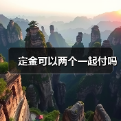 定金可以两个一起付吗(图1) 定金可以两个一起付吗(图1)