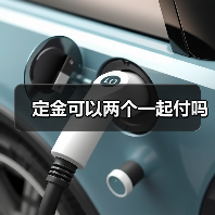 定金可以两个一起付吗（图4）