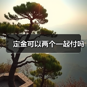 定金可以两个一起付吗（图4）