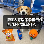 保证人可以不承担责任的几种情况是什么（图1）